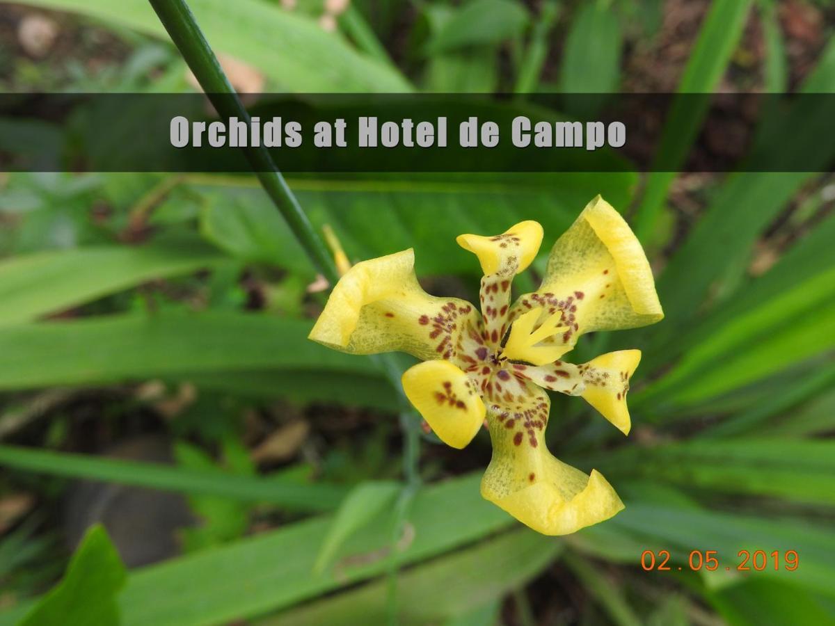 Hotel De Campo Cano Negro Bagian luar foto